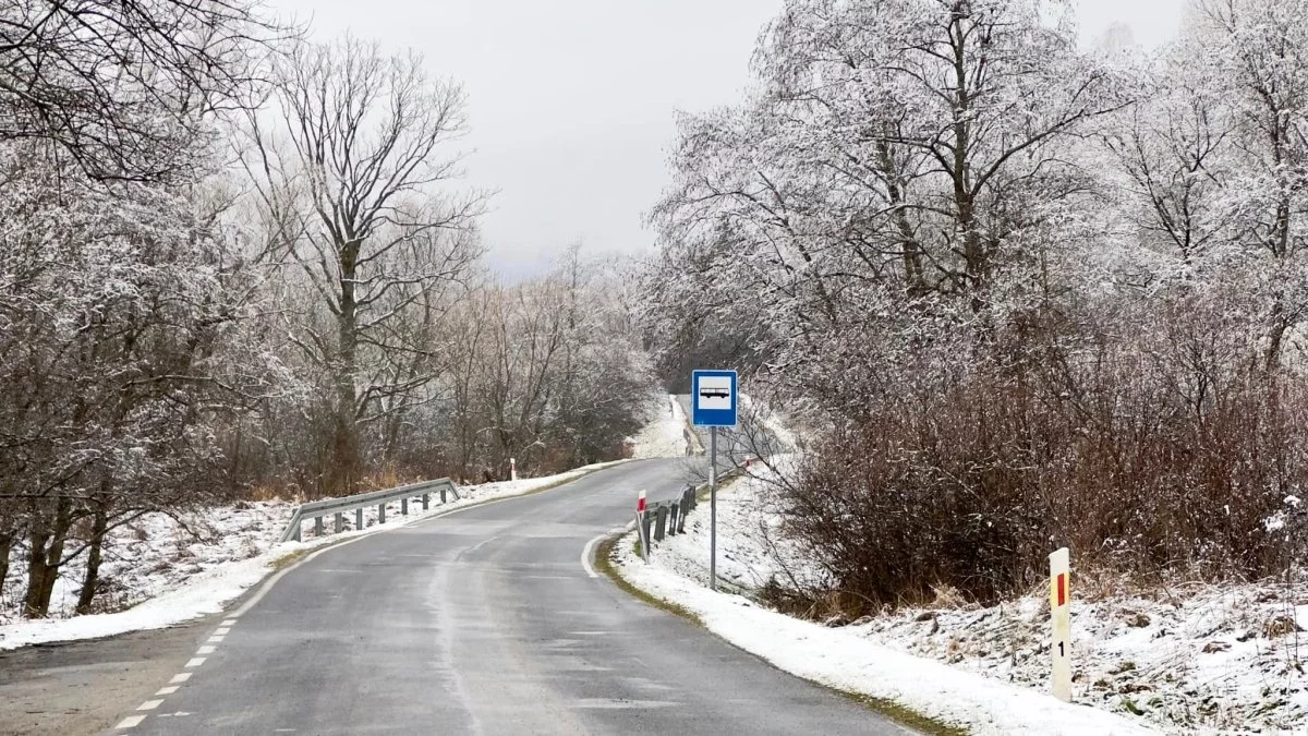 Bieszczady. Pogoda i warunki górskie na dziś. Piątek 06 grudnia - Zdjęcie główne