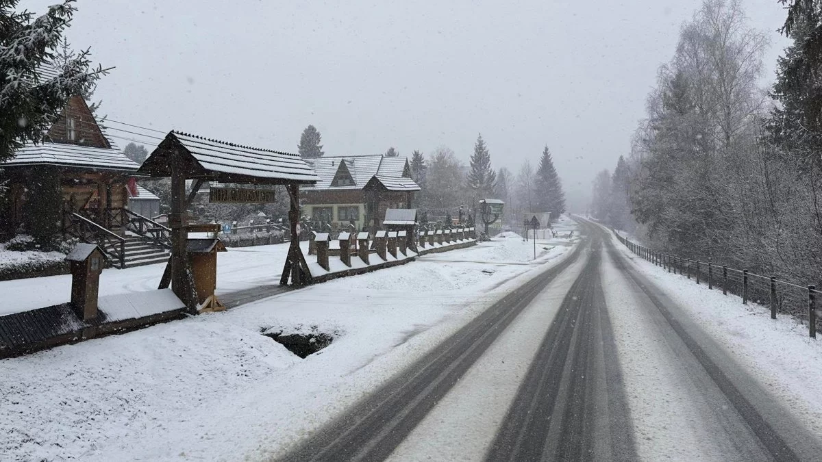 Pogoda Bieszczady. Prognoza na dziś. Sobota 1 marca - Zdjęcie główne