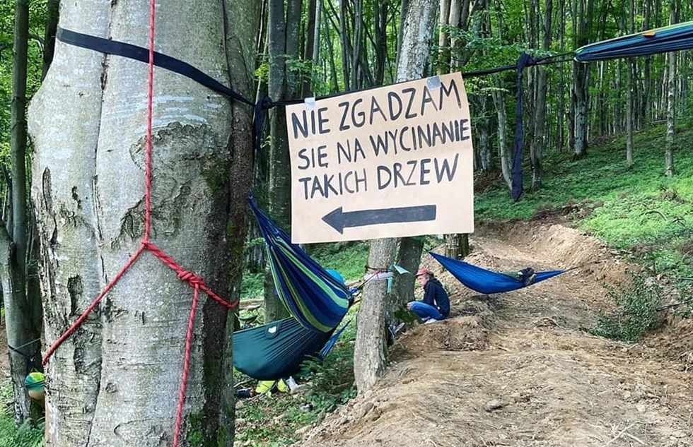 Komunikat Nadleśnictwa Stuposiany w sprawie rozmów z grupą Inicjatywy Dzikie Karpaty - Zdjęcie główne