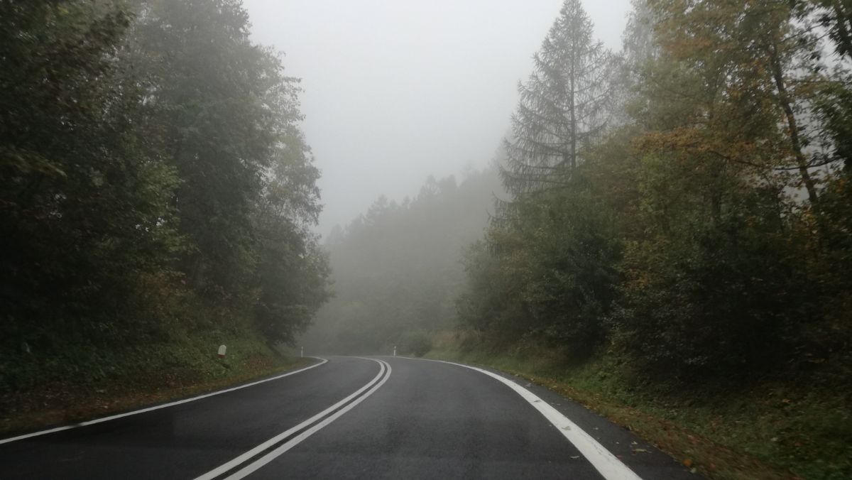 Bezpieczna jesień na drogach - Zdjęcie główne