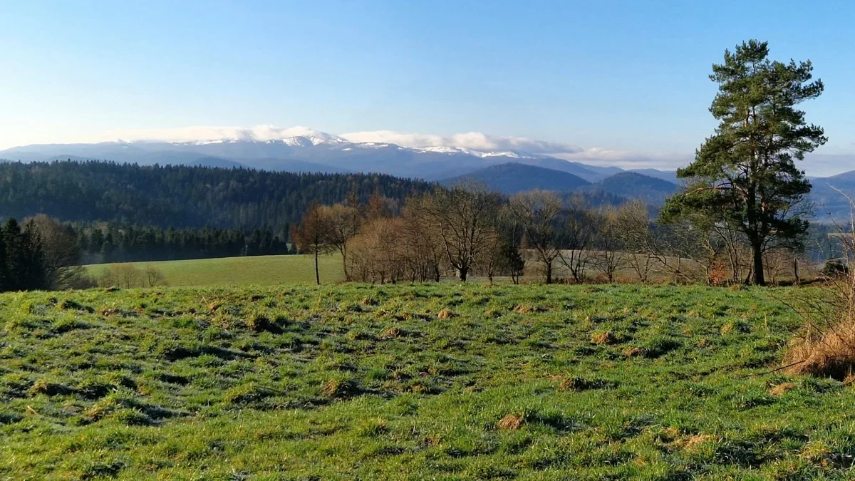 Bieszczady. Pogoda i warunki górskie na dziś. Niedziela, 31 marca - Zdjęcie główne