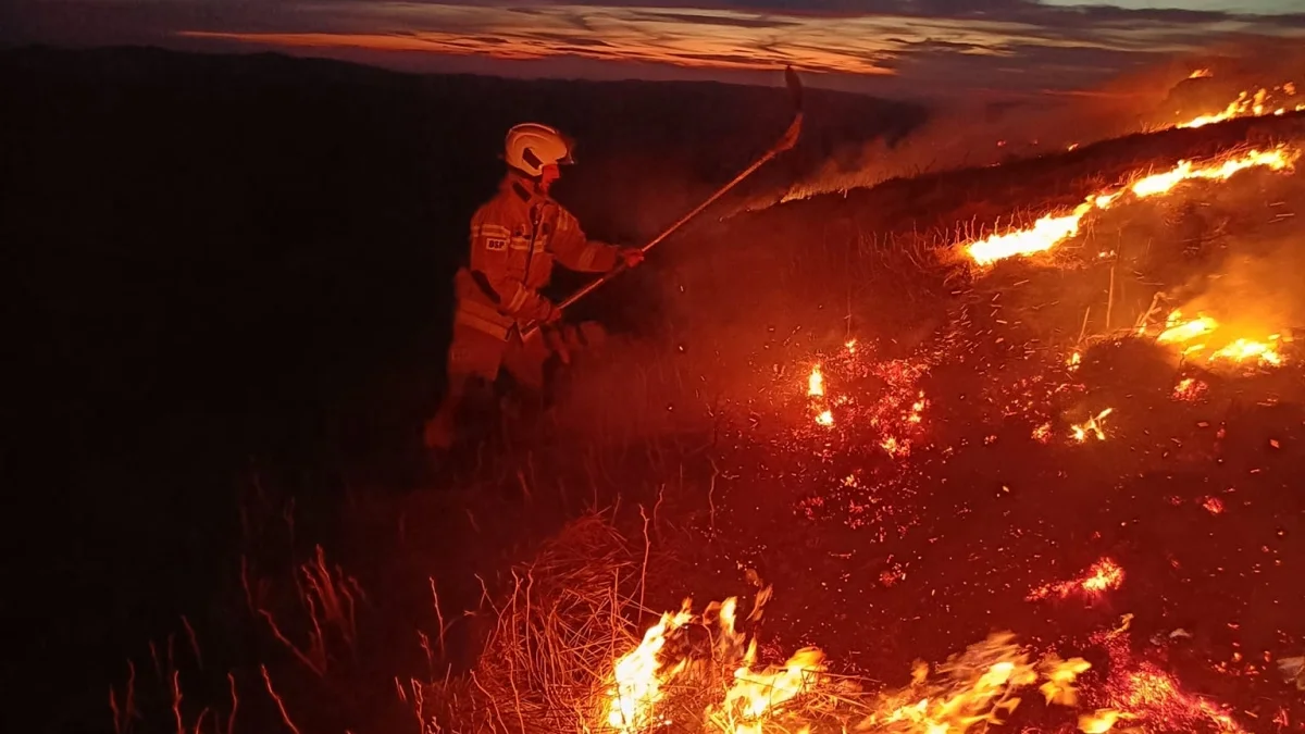 Ogromny pożar na szczycie Połoniny Caryńskiej! Trwa akcja służb [ZDJĘCIA, WIDEO] - Zdjęcie główne