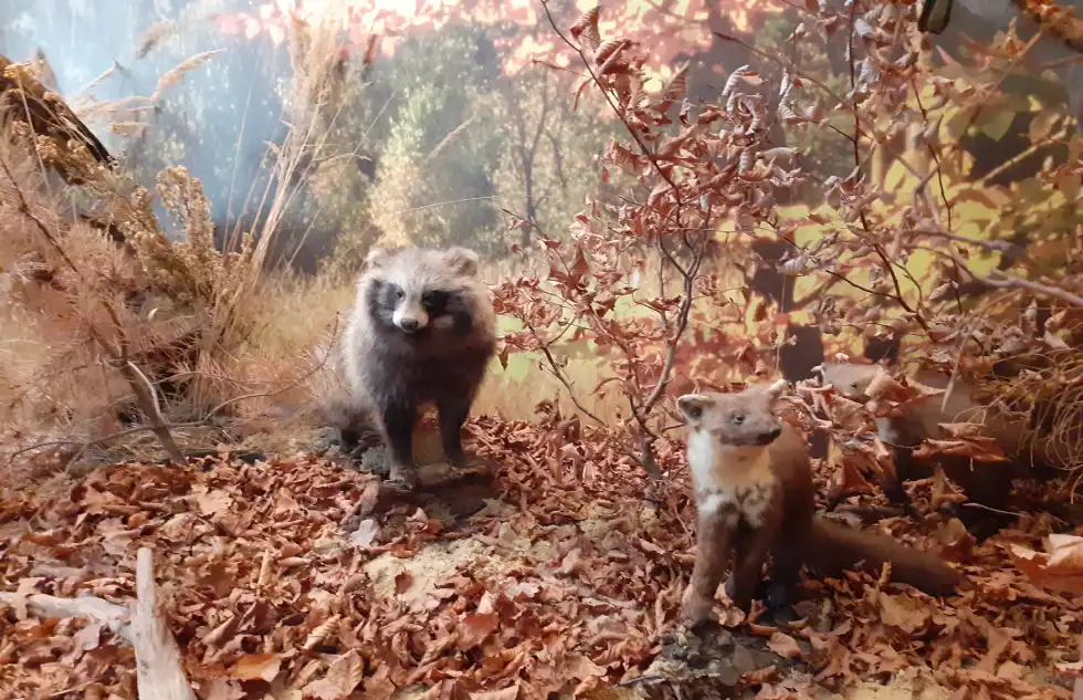 zdj. Joanna Zwolińska / Centrum Promocji Obszarów Natura 2000