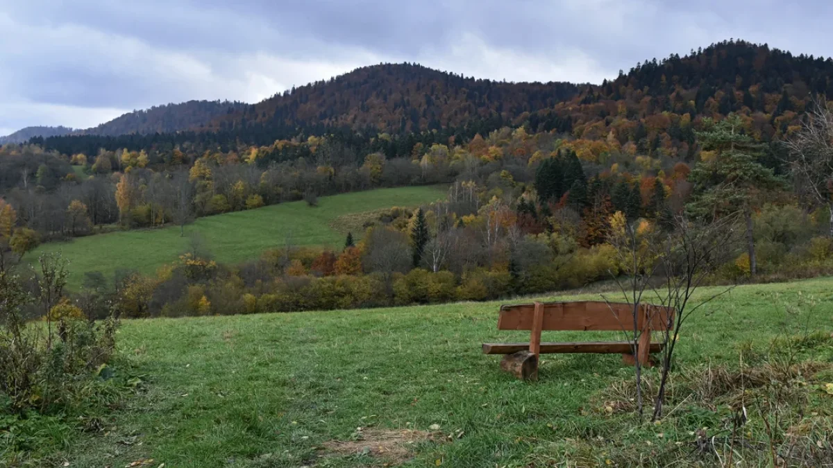 Bieszczady. Pogoda i warunki górskie na dziś. Piątek, 27 października - Zdjęcie główne