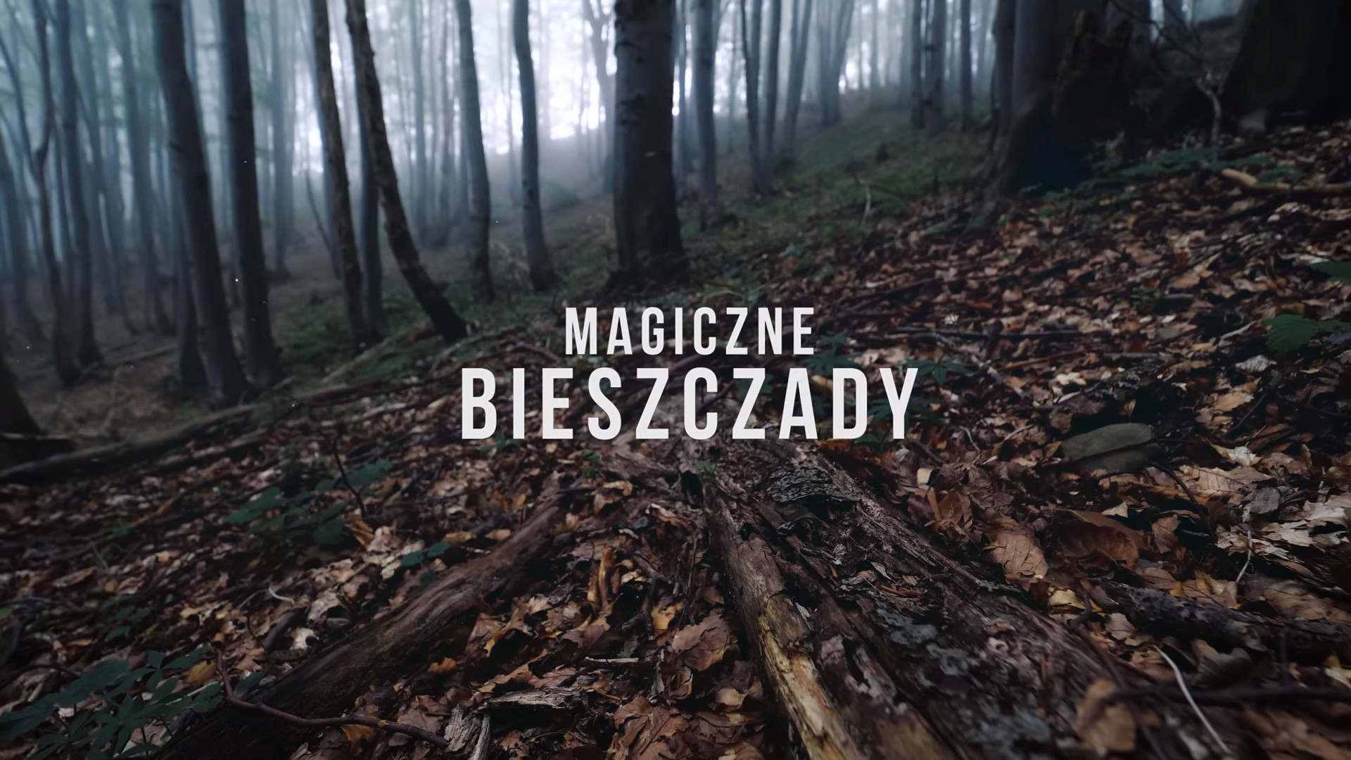 Magiczne Bieszczady. Zobacz przepiękne nagranie z naszych gór - Zdjęcie główne