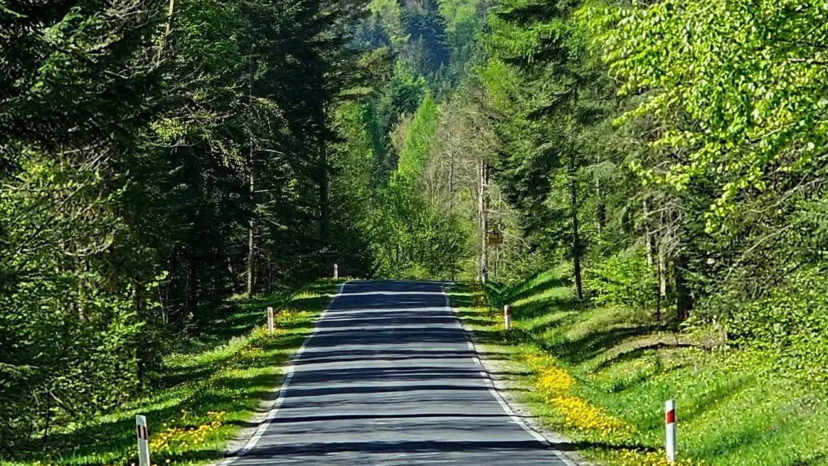 Bieszczady. Pogoda i warunki górskie na dziś. Środa, 01 maja - Zdjęcie główne