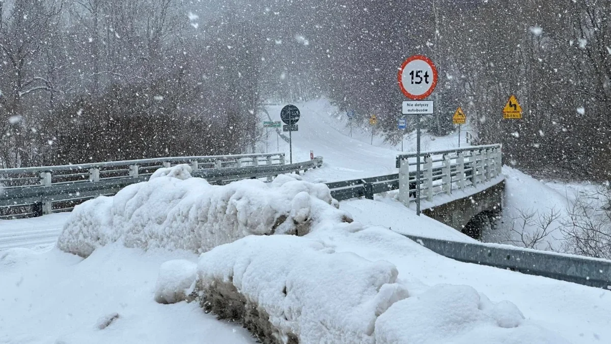 Bieszczady. Pogoda i warunki górskie na dziś. Sobota, 27 stycznia - Zdjęcie główne