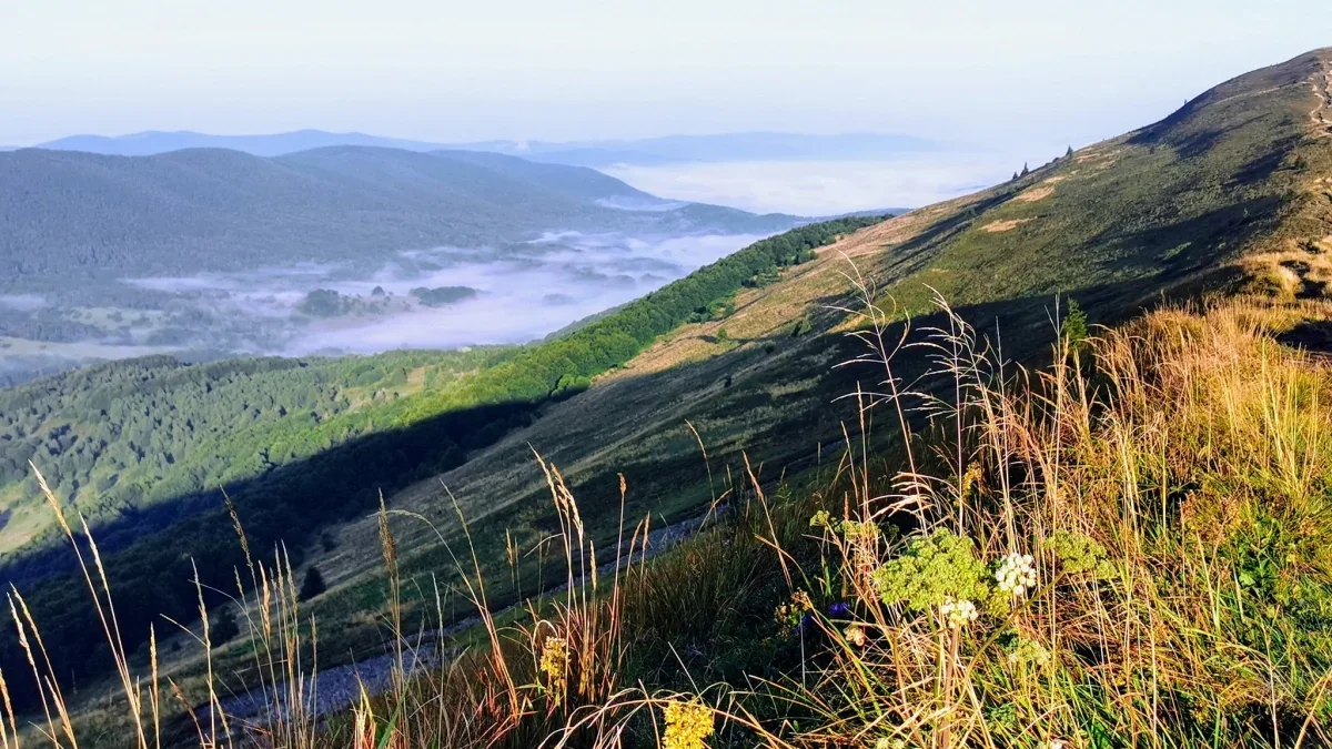 Bieszczady. Pogoda i warunki górskie na dziś. Czwartek, 31 sierpnia - Zdjęcie główne