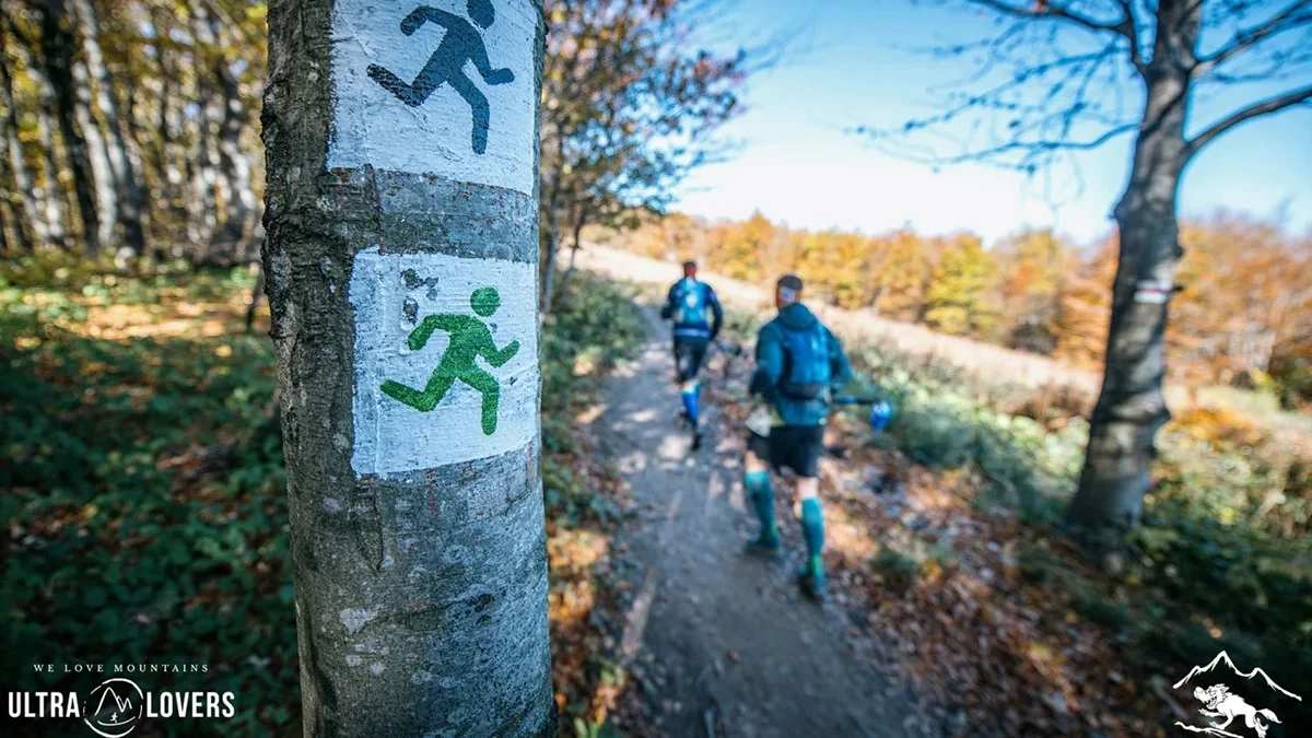 Nowe ścieżki biegowe w Bieszczadach. Fundacja Bieg Rzeźnika wyznaczyła 141 kilometrów nowych tras - Zdjęcie główne