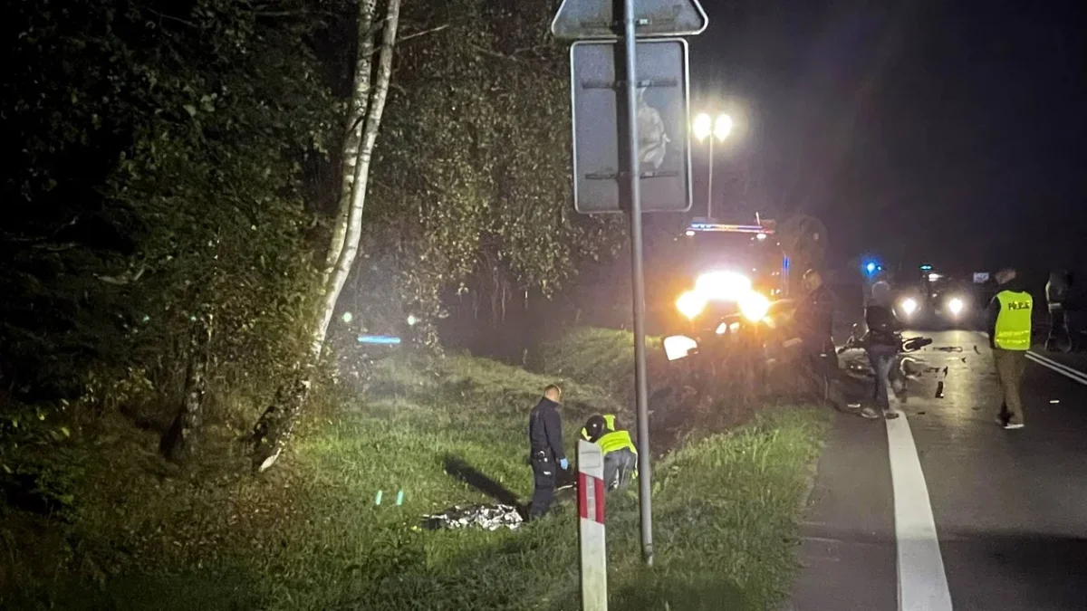 Śmiertelny wypadek w Postołowie. Czołowe zderzenie motocyklisty i osobówki [ZDJĘCIA] - Zdjęcie główne