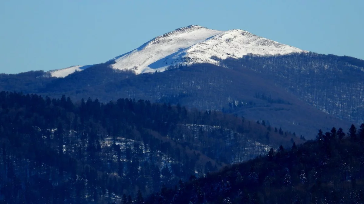 Pogoda Bieszczady. Prognoza na dziś. Sobota 25 stycznia - Zdjęcie główne