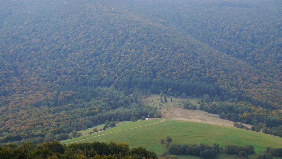 Bieszczady. Pogoda i warunki górskie na dziś. Sobota, 14 października - Zdjęcie główne