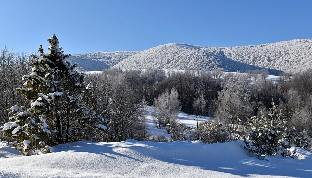 Bieszczady. Odcinek ścieżki do Źródła Sanu pozostaje zamknięty. Podjęto taką decyzję ze względu na bezpieczeństwo - Zdjęcie główne