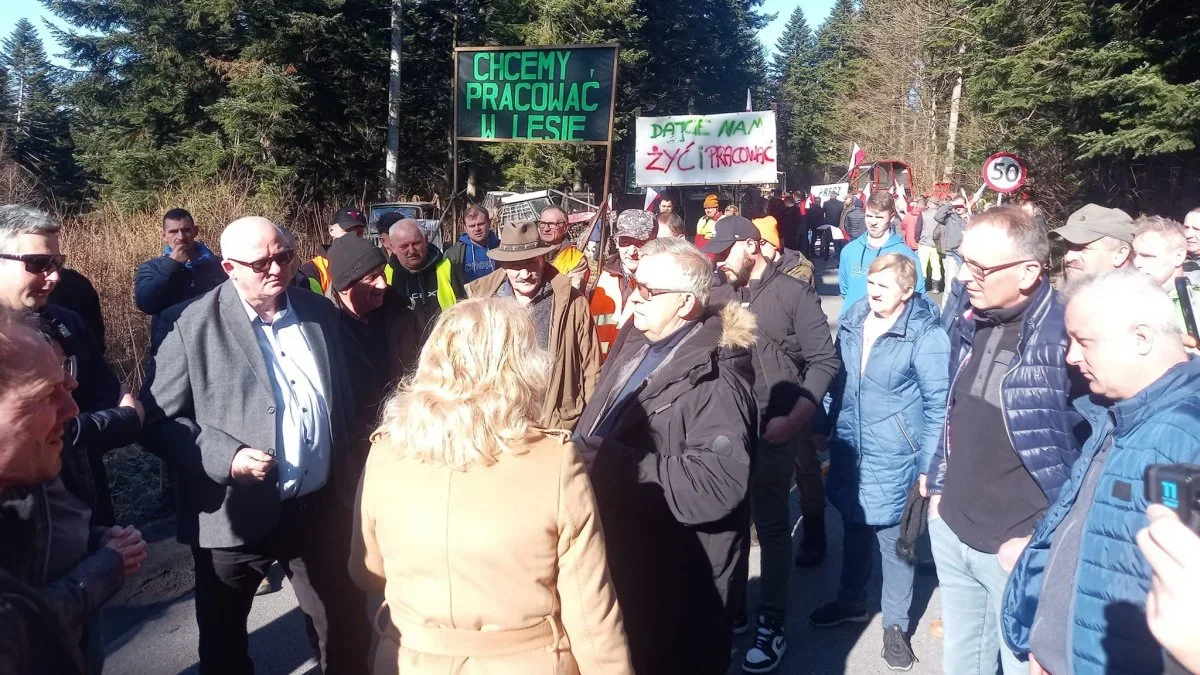 Bieszczady a wycinka drzew. Tak prezentują się wyniki konsultacji społecznych - Zdjęcie główne