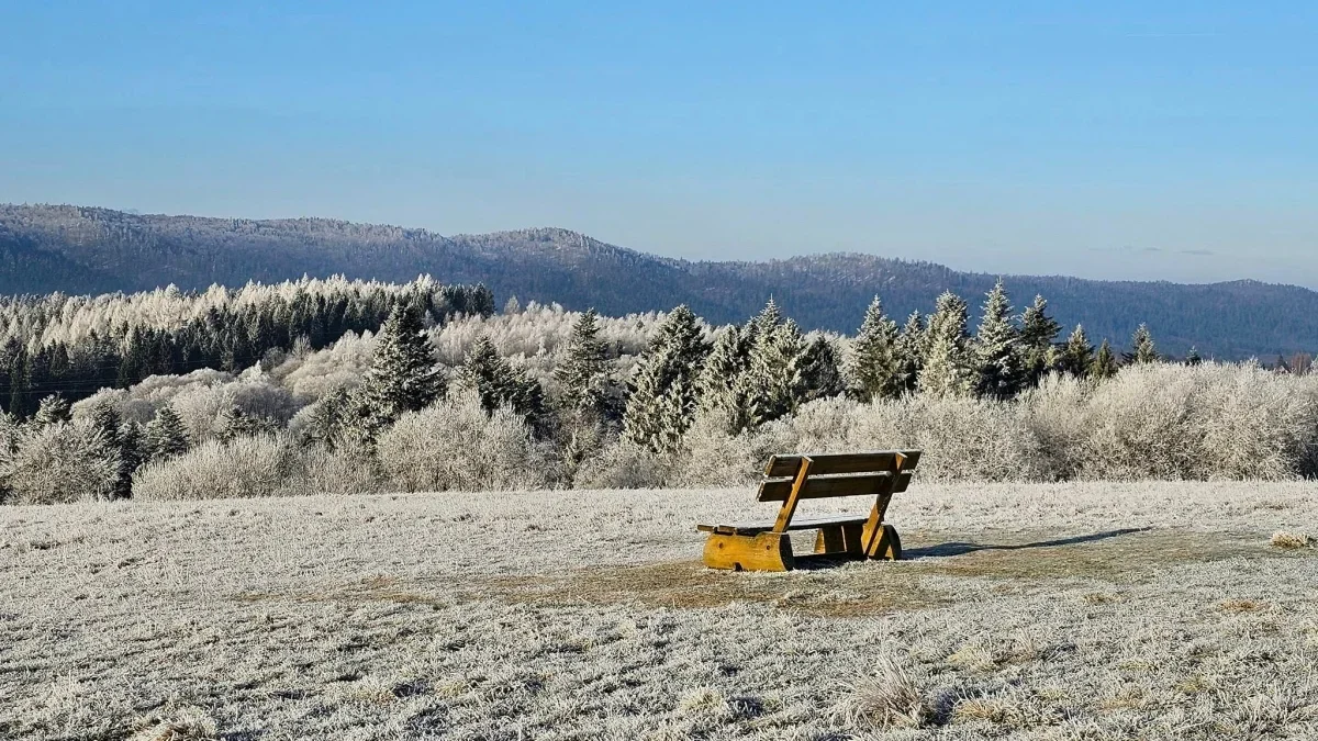 Bieszczady. Pogoda i warunki górskie na dziś. Niedziela, 10 marca - Zdjęcie główne