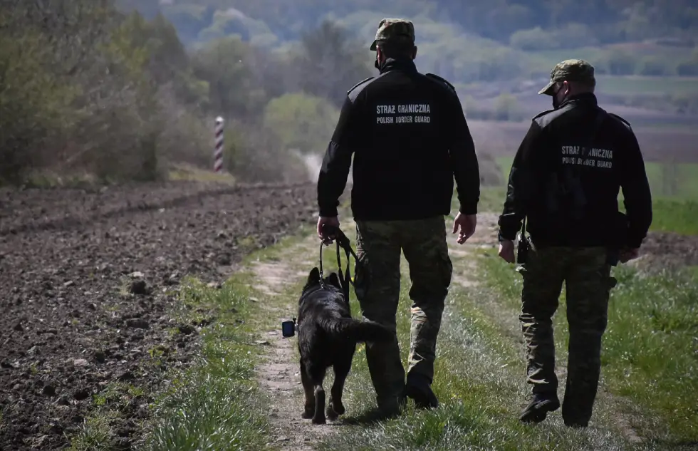 Jeden dzień - 8 nielegalnych imigrantów - Zdjęcie główne