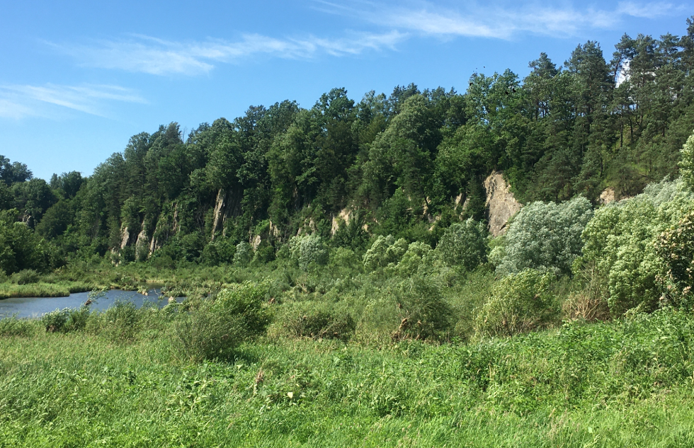 Bieszczadzki pomnik przyrody nieożywionej – Skałki Myczkowieckie - Zdjęcie główne