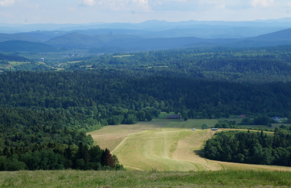 Fot. Kamil Mielnikiewicz - Panorama z szybowiska w Bezmiechowej