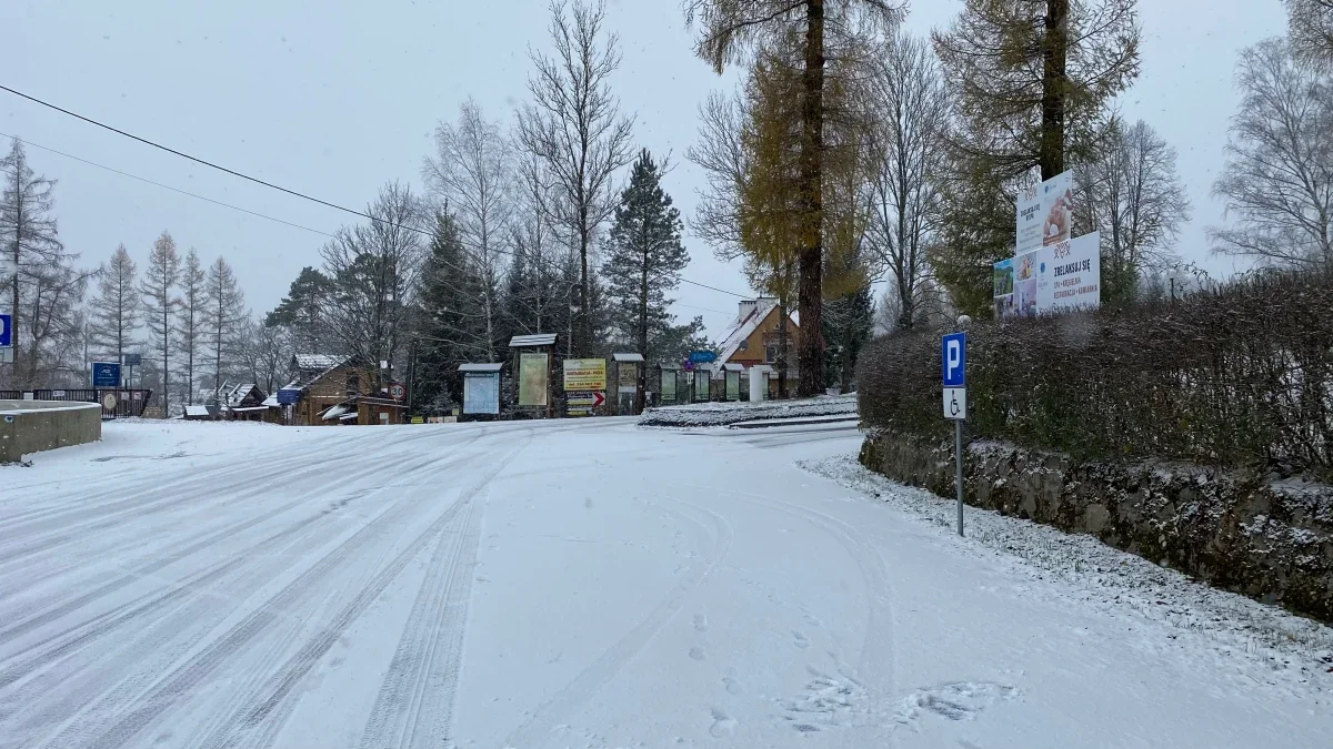 Niesprzyjające warunki atmosferyczne w Bieszczadach. Synoptycy wydali alert - Zdjęcie główne