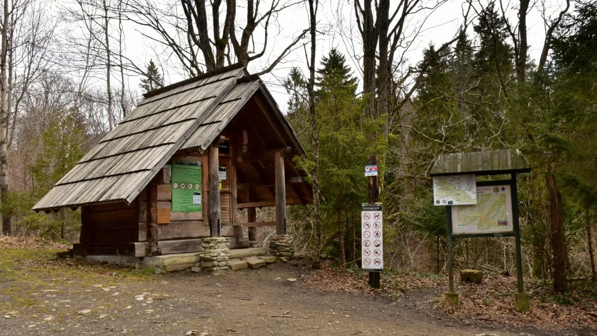 Bieszczady. Pogoda i warunki górskie na dziś. Sobota, 17 lutego - Zdjęcie główne