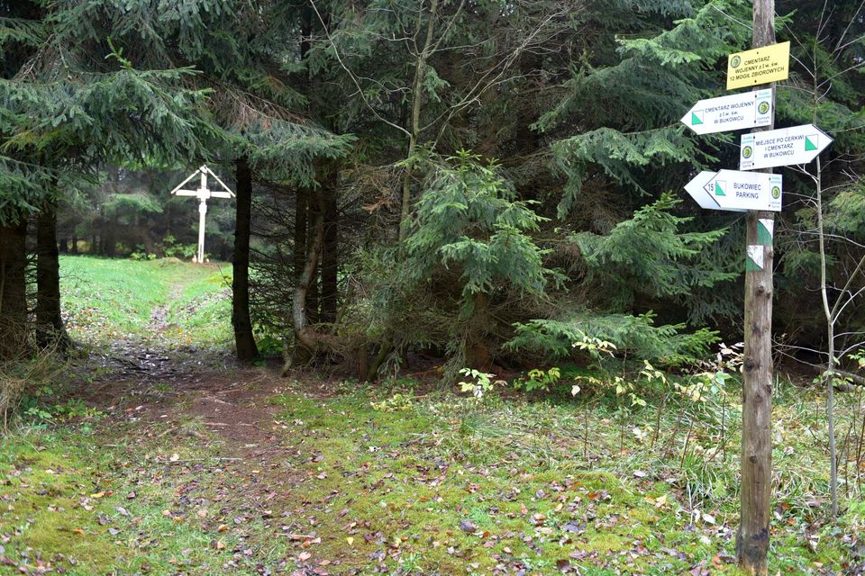 Bieszczadzki Park Narodowy pamięta [FOTO] - Zdjęcie główne