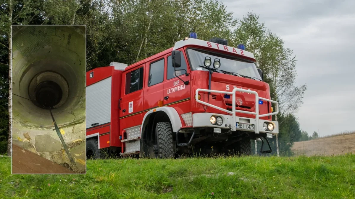 Bieszczady. Strażacy z Lutowisk uratowali kota, który utknął w głębokiej studni - Zdjęcie główne