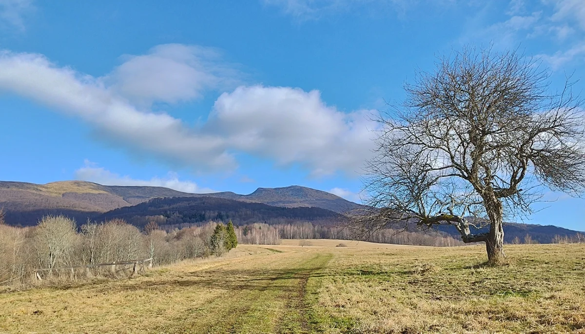 Bieszczady. Wszystkie odcinki szlaków i ścieżek turystycznych są drożne. Miejscowo może być ślisko i błotniście - Zdjęcie główne