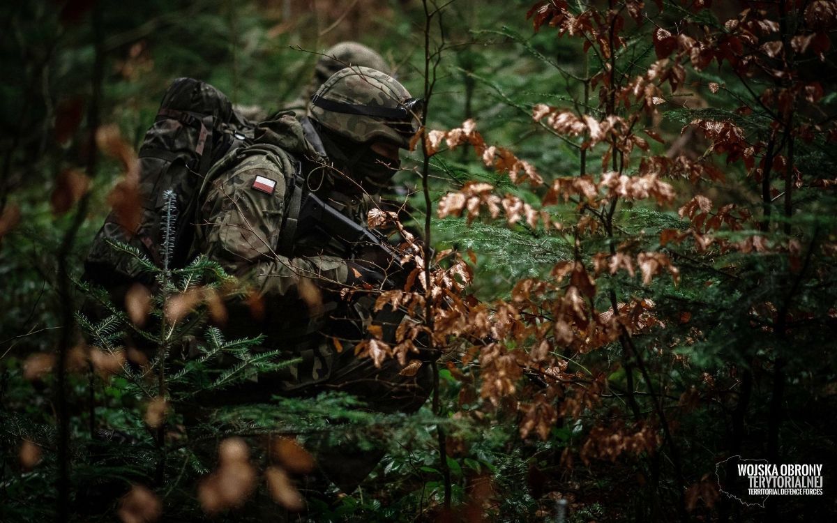 Ćwiczenia w terenie leśnym żołnierzy sanockiego batalionu WOT [ZDJĘCIA] - Zdjęcie główne