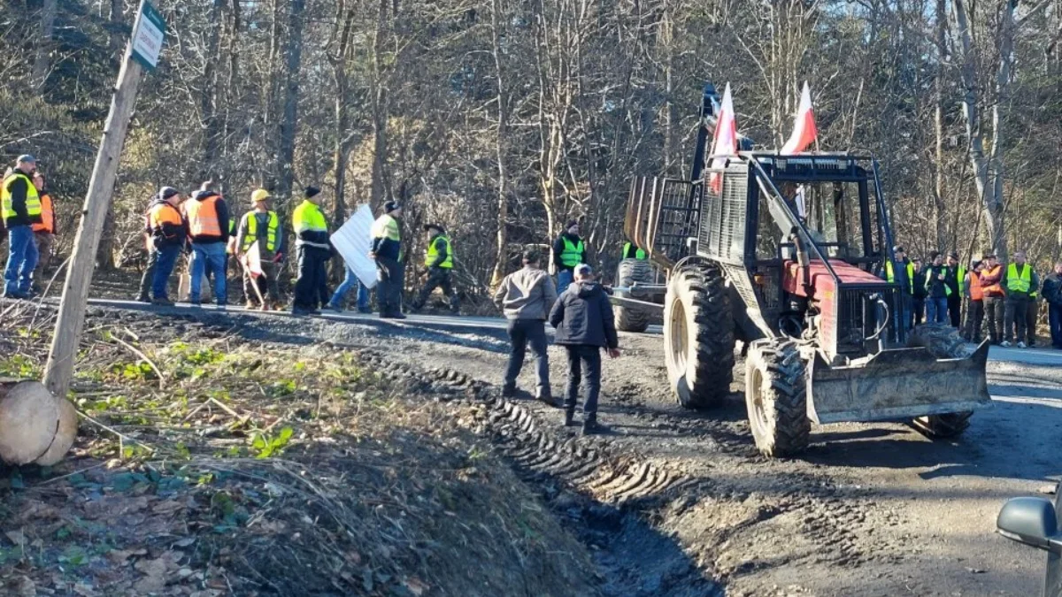 Bieszczadzcy radni sprzeciwiają się powstaniu nowego parku narodowego oraz decyzji o wstrzymaniu wycinki lasów - Zdjęcie główne