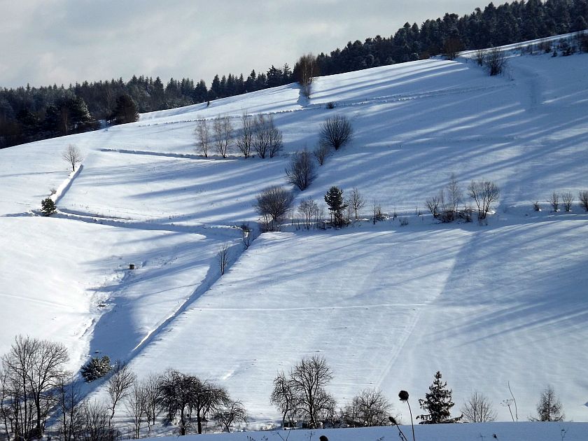 Prognoza pogody na czwartek  21.01.2021 - Zdjęcie główne