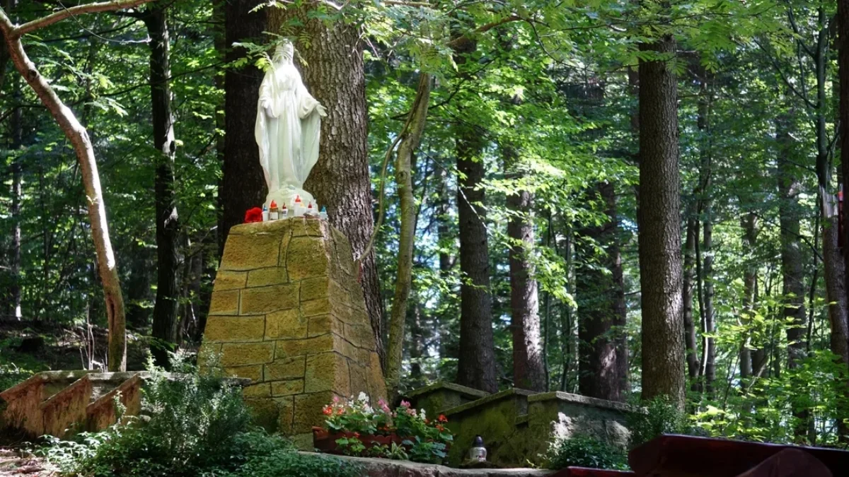 Kapliczka Matki Bożej Leśnej w Komańczy. Z tym miejscem związanych jest wiele legend [ZDJĘCIA, WIDEO] - Zdjęcie główne