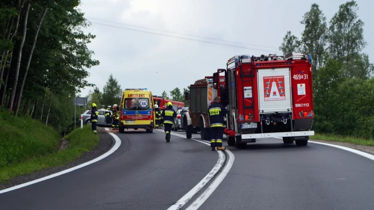 Czołowe zderzenie samochodów w Uhercach Mineralnych. Cztery osoby zostały poszkodowane - Zdjęcie główne