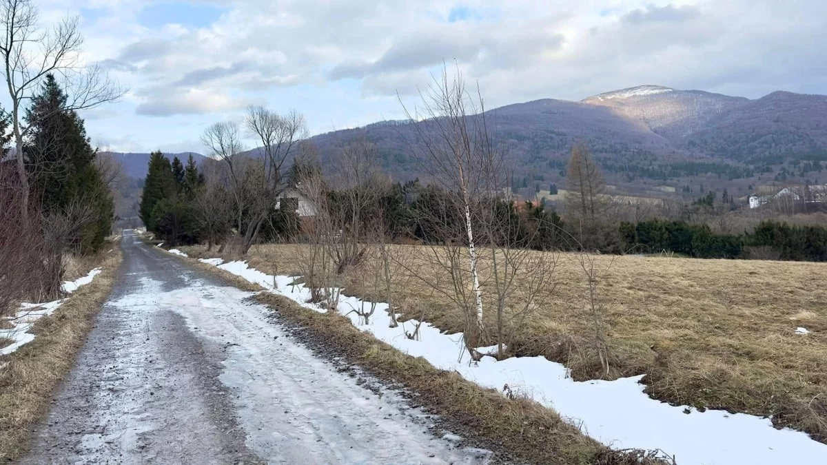 Bieszczady. Pogoda i warunki górskie na dziś. Środa 8 stycznia - Zdjęcie główne