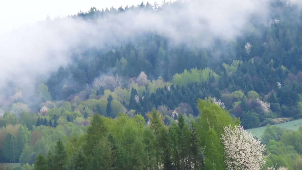 Bieszczady. Pogoda i warunki górskie na dziś. Czwartek, 18 kwietnia - Zdjęcie główne