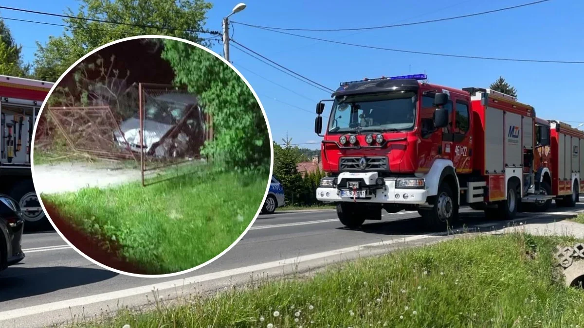 Groźne zdarzenie drogowe niedaleko Ustrzyk Dolnych. Citroen wypadł z drogi i uderzył drzewo - Zdjęcie główne