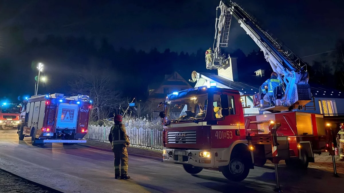 W Ustrzykach Dolnych doszło do pożaru. Strażacy przypomnieli o ważnej sprawie - Zdjęcie główne