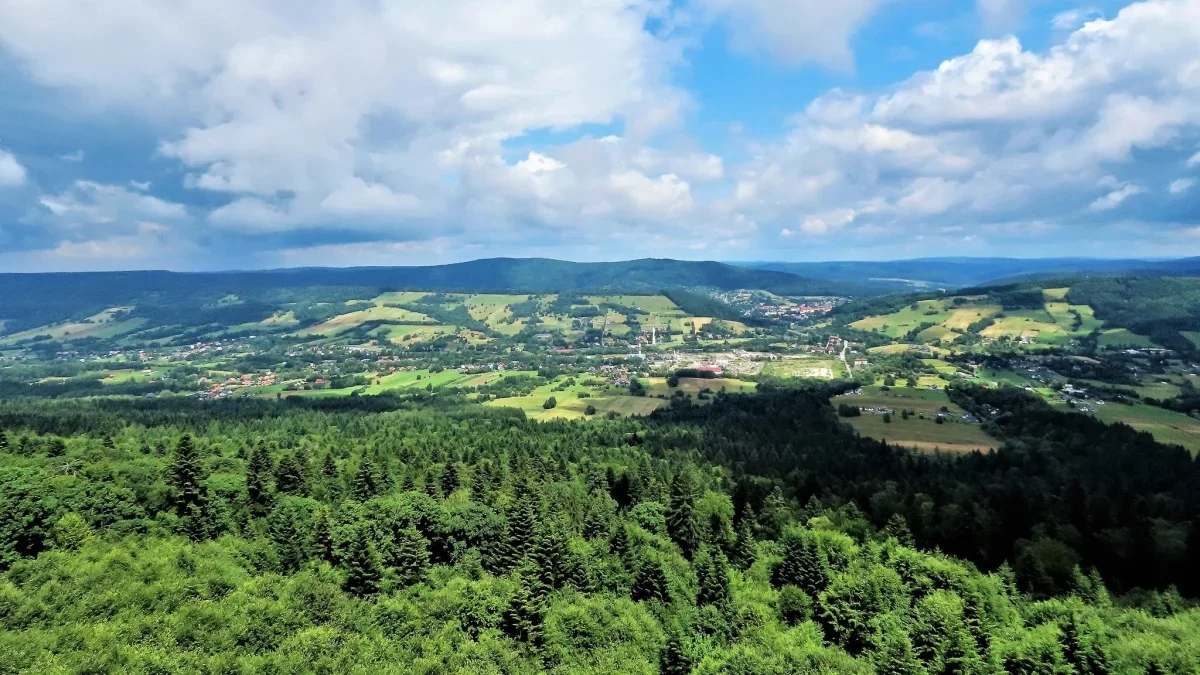 Bieszczady. Pogoda i warunki górskie na dziś. Niedziela, 03 września - Zdjęcie główne