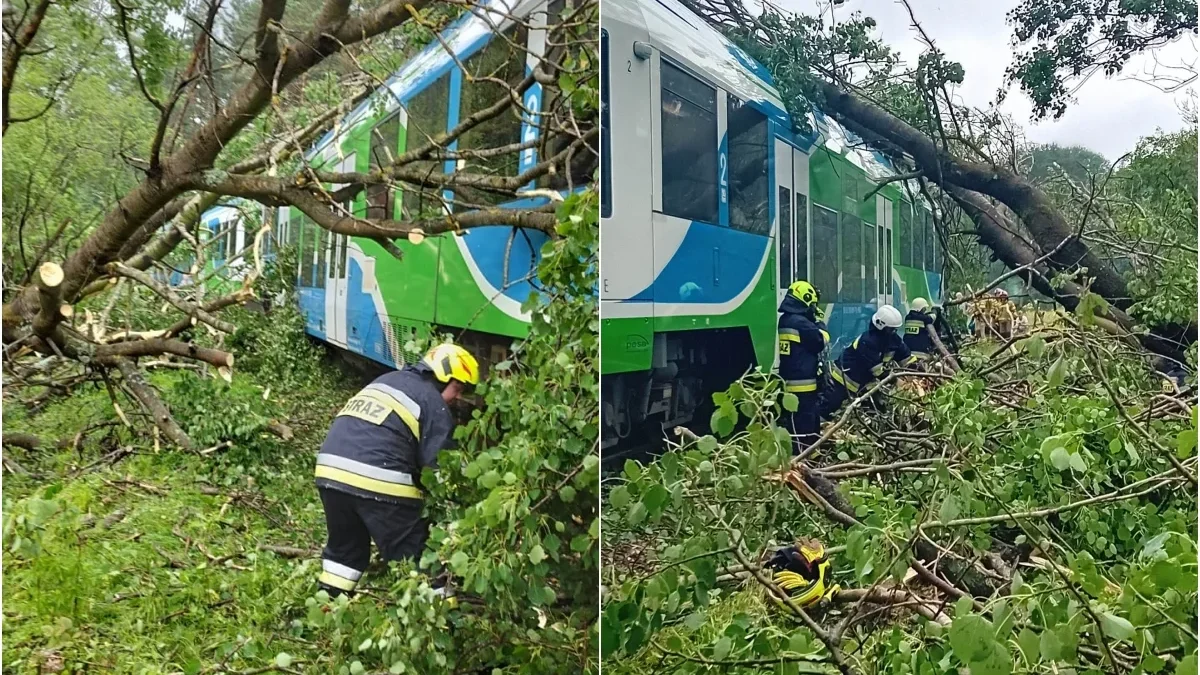 Szynobus w okolicach Łupkowa najechał na drzewo leżące na torach. Na szczęście nikomu nic się nie stało - Zdjęcie główne