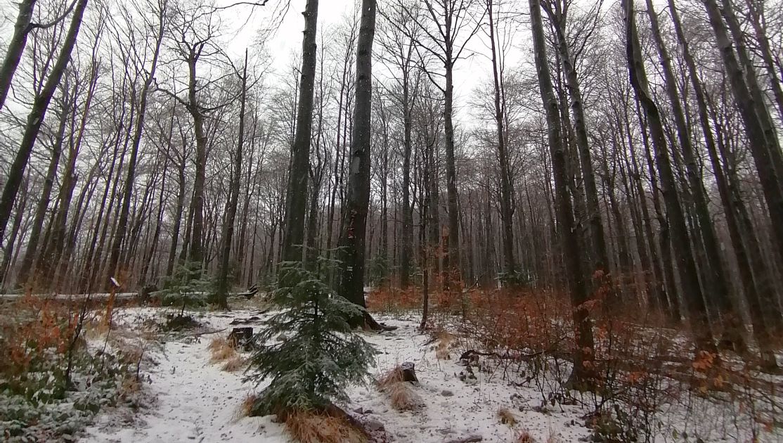 Warunki pogodowe w Bieszczadach - Zdjęcie główne