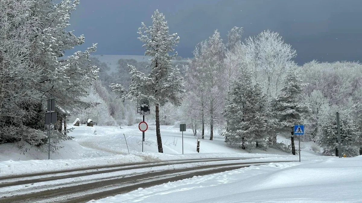 Bieszczady. Pogoda i warunki górskie na dziś. Czwartek, 25 stycznia - Zdjęcie główne