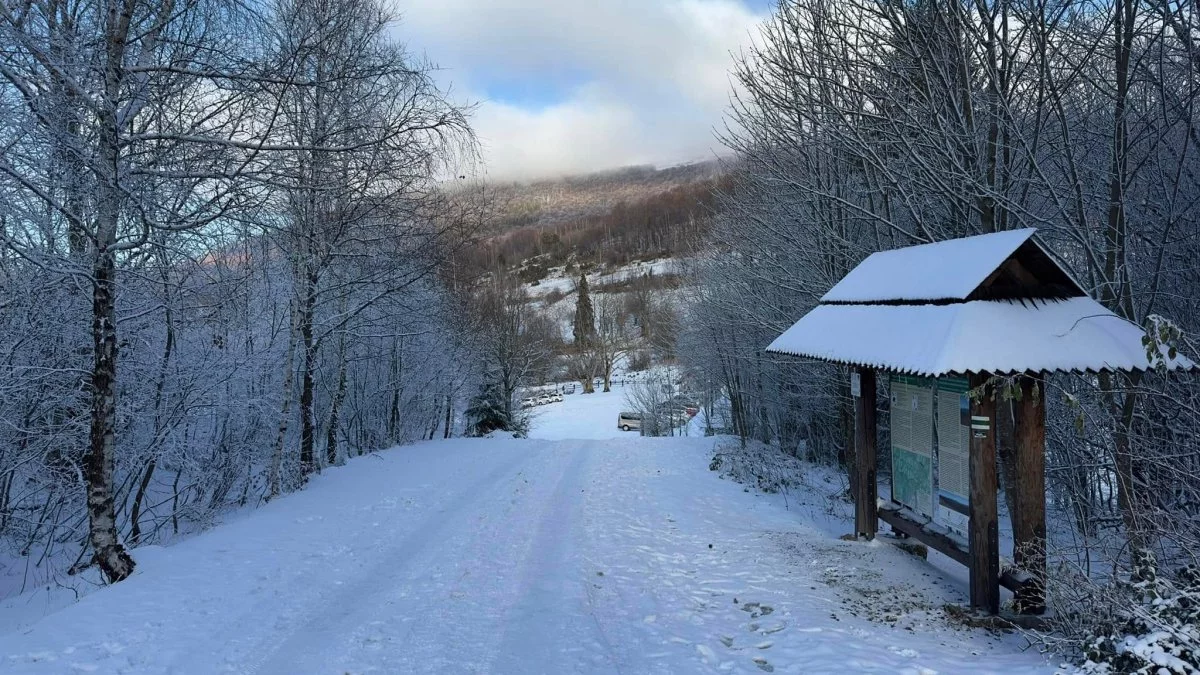 Bieszczady. Pogoda i warunki górskie na dziś. Wtorek 10 grudnia - Zdjęcie główne