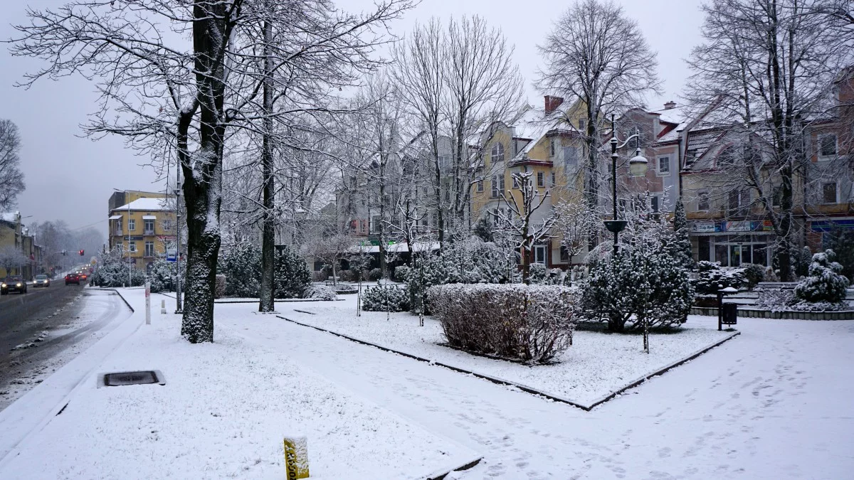 Ustrzyki Dolne w zimowej scenerii. W Bieszczadach spadł pierwszy śnieg [ZDJĘCIA, WIDEO] - Zdjęcie główne