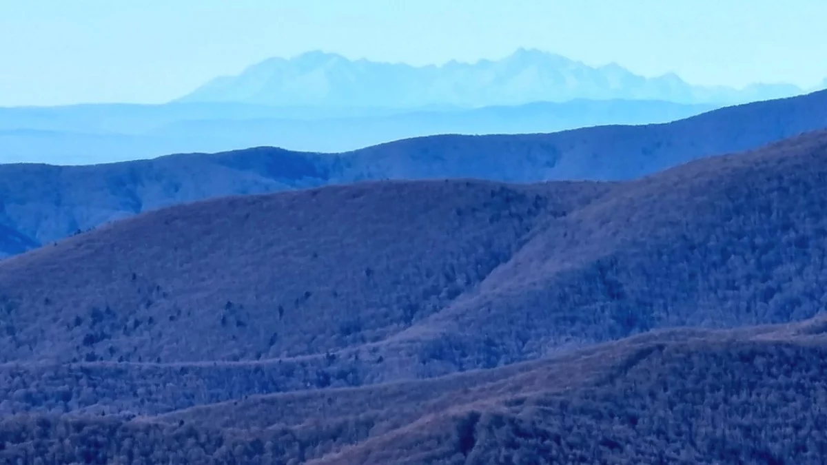 Doskonałe warunki do wędrówek i obserwacji w Bieszczadach. Na horyzoncie Tatry [ZDJĘCIA] - Zdjęcie główne