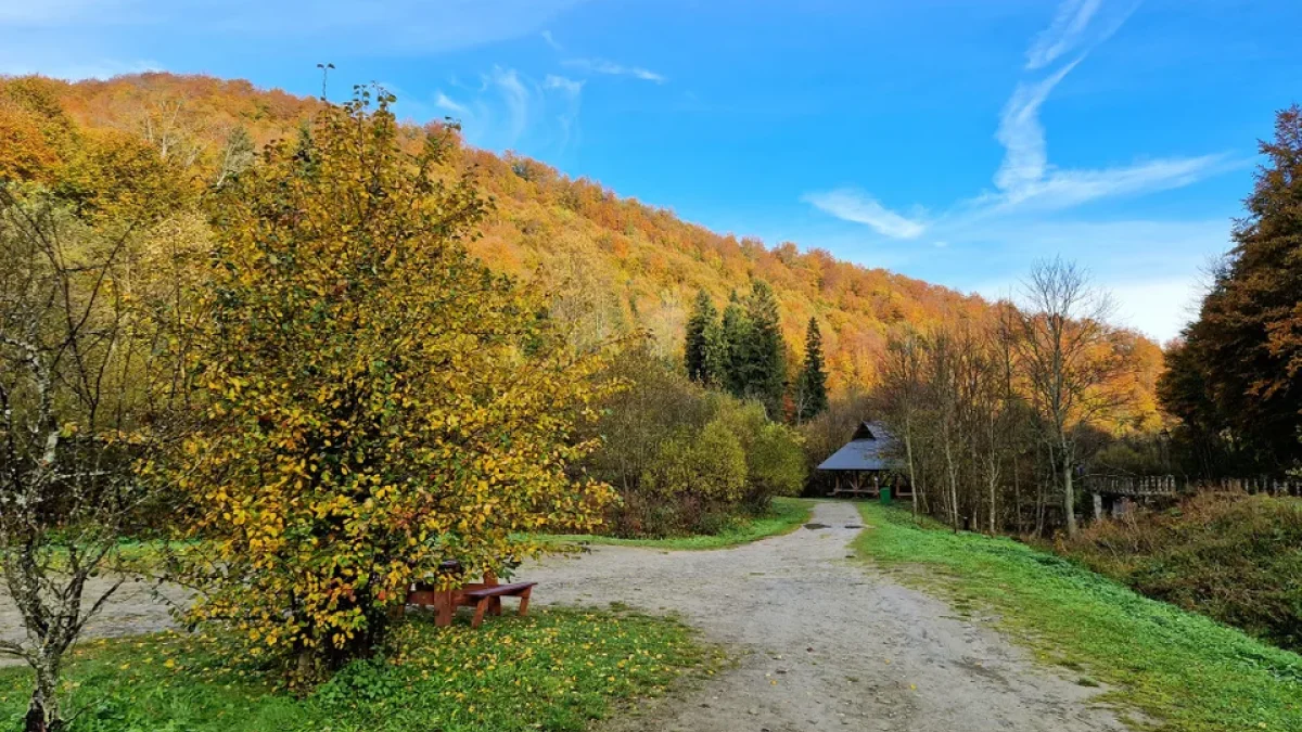 Bieszczady. Pogoda i warunki górskie na dziś. Poniedziałek, 30 października - Zdjęcie główne