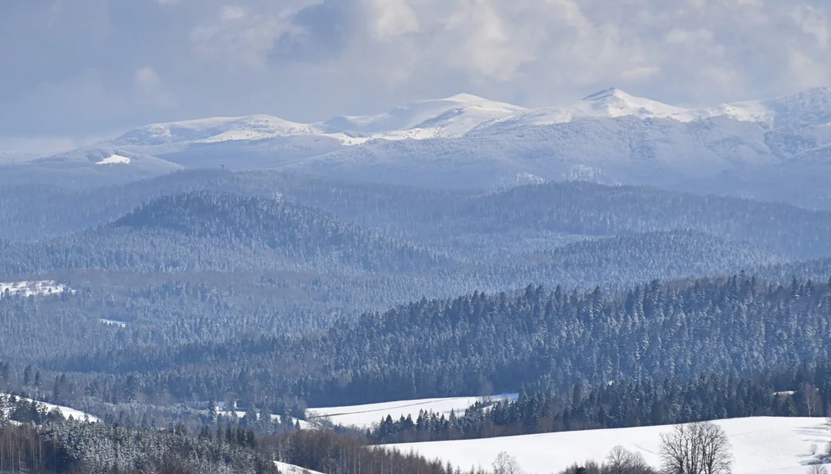 Wejście na Jawornik, Halicz i Bukowe Berdo może być utrudnione. Warto pamiętać o rakietach śnieżnych lub nartach skiturowych - Zdjęcie główne