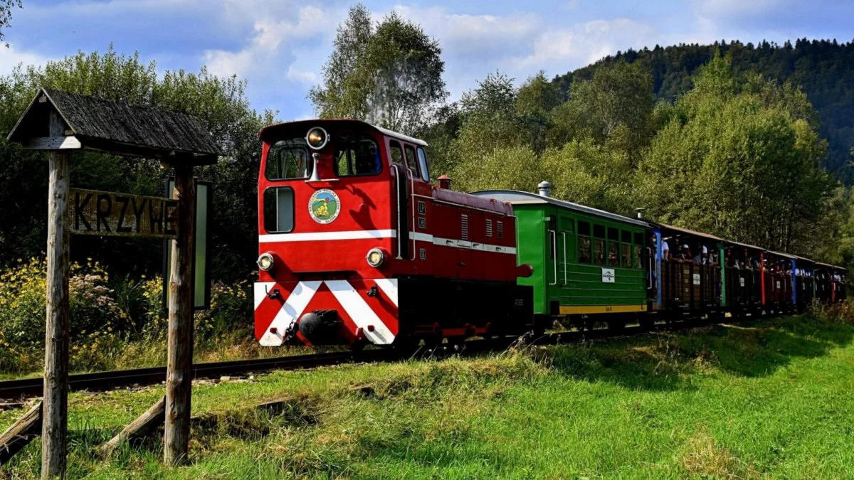 Udany rok dla Bieszczadzkiej Kolejki Leśnej. Sezon jeszcze się nie skończył, a mimo to jest lepiej - Zdjęcie główne