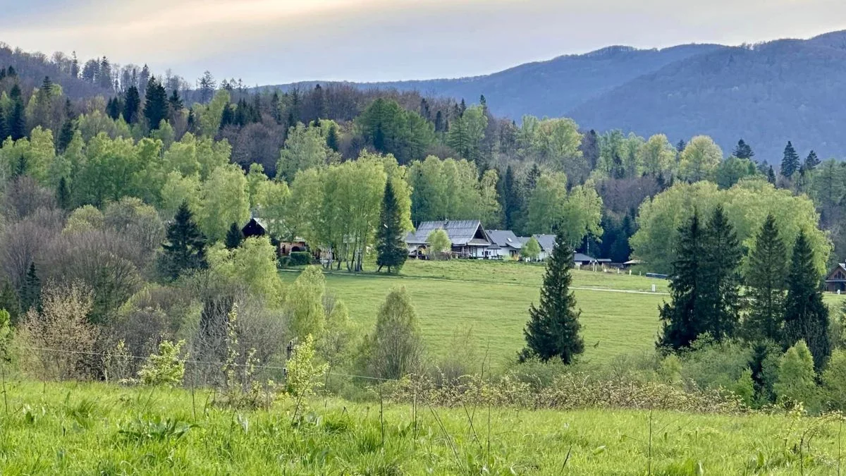 Bieszczady. Pogoda i warunki górskie na dziś. Wtorek, 30 kwietnia - Zdjęcie główne