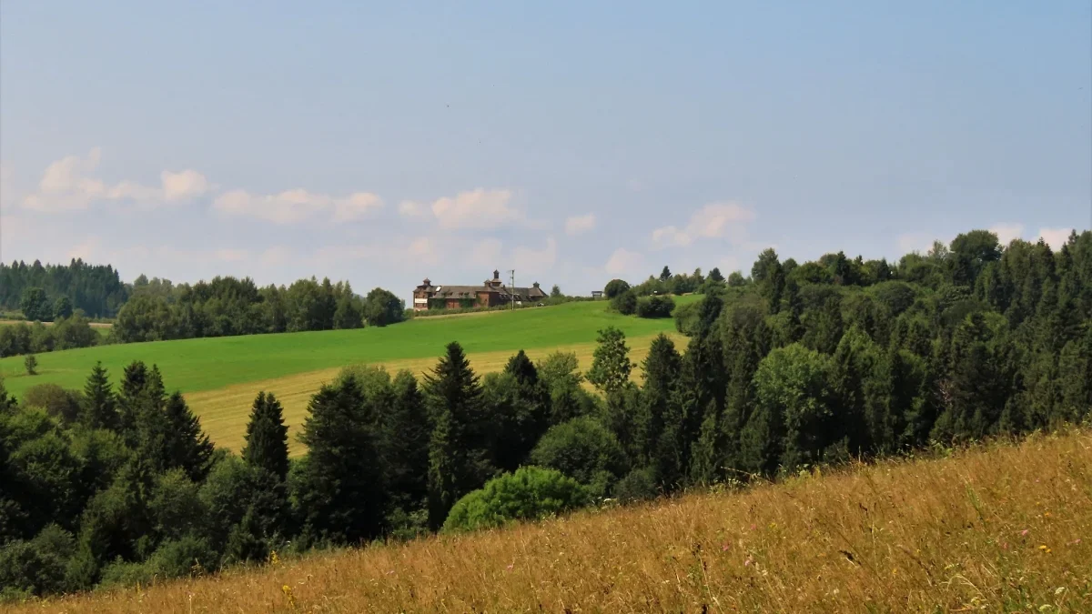 Bieszczady. Pogoda i warunki górskie na dziś. Piątek, 25 sierpnia - Zdjęcie główne