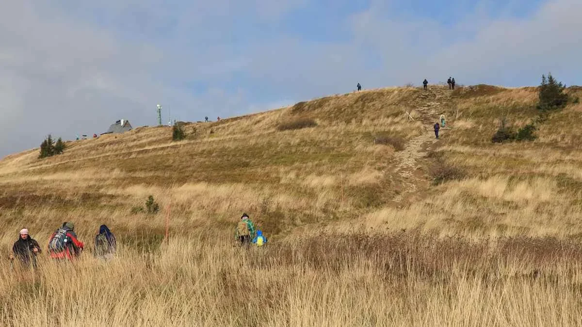 Bieszczady. Pogoda i warunki górskie na dziś. Niedziela, 15 października - Zdjęcie główne