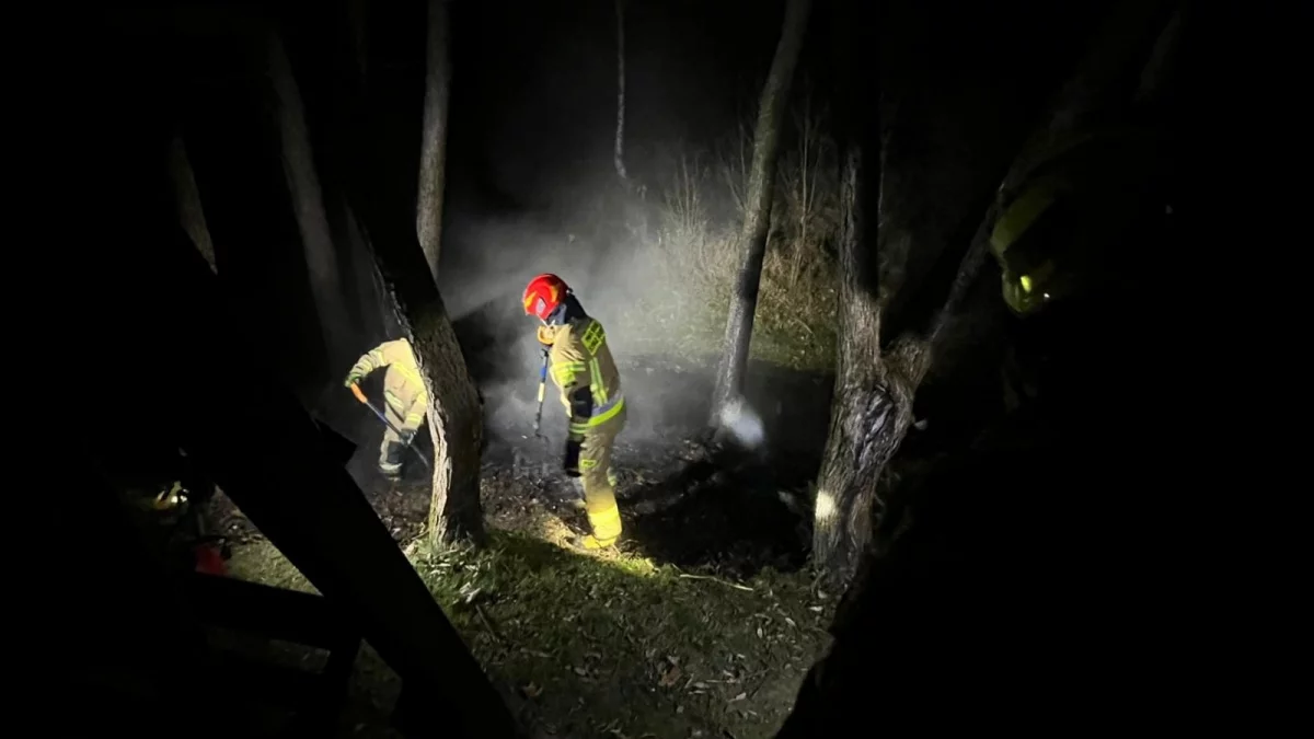 Niedaleko domków letniskowych w Bieszczadach pojawił się ogień. Co było przyczyną? - Zdjęcie główne